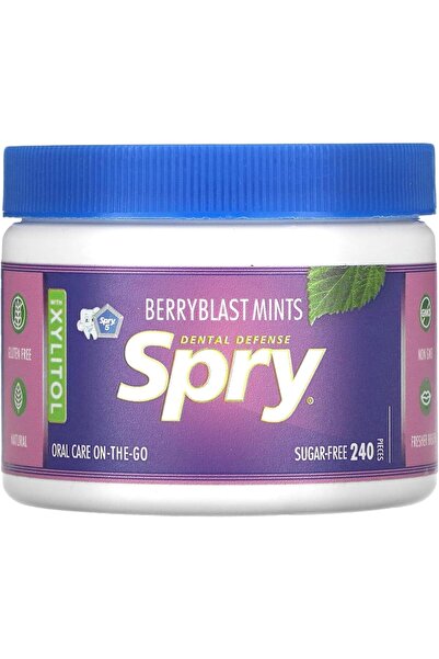 Generic حلوى نعناع بيري بلاست سبري إكسلير، خالية من السكر، 240 قطعة (144 جم)