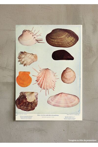 VreauPoster Poster A4 Nature neighbors 2 Carton 250gr