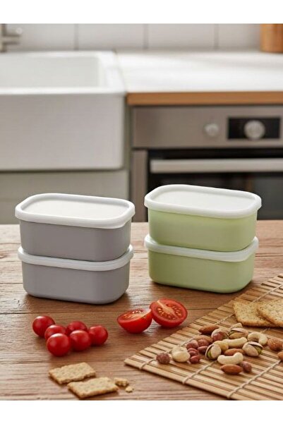 Saint Belisama Concept Ada Green and Gray 4-Piece Storage Container Set - Breakfast Snack Container Storage with Leak-Proof Lids