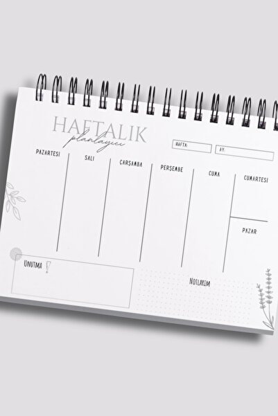 pcpapiruscraft 3-Pack Planning Set, Daily Planner, Weekly Planner, To-Do, Academic Agenda