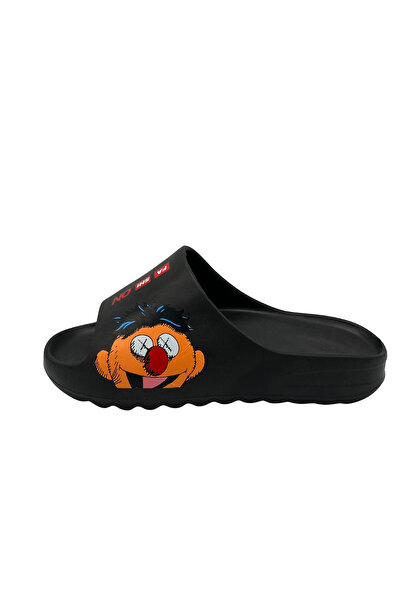 Defa Daily Seaside Slippers Edi (Sesame Street)