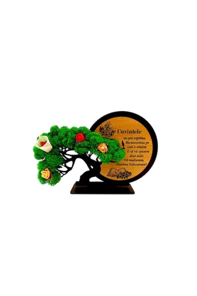 OEM Decorațiune cadou personalizată pentru profesor: „Un profesor minunat e greu de găsit”, wenge, 21x14cm