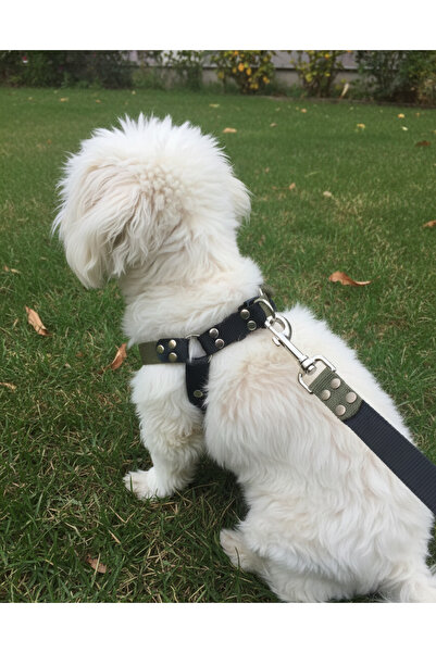 balkonda طوق للكلاب قابل للتعديل مع حزام للمشي، مجموعة للسلالات الصغيرة والمت...