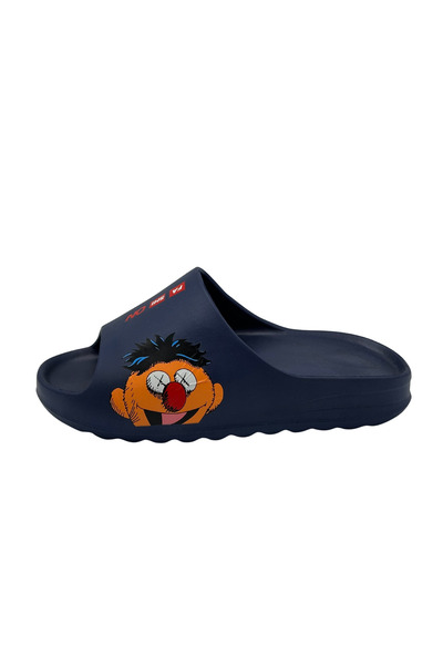 Defa Daily Seaside Slippers Edi (Sesame Street)