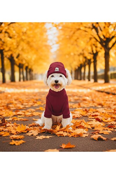 Lokums طقم ملابس أساسية للكلاب وقبعة للكلاب - قماش ناعم، طقم دافئ للشتاء
