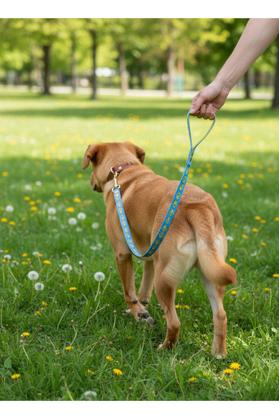 balkonda حزام مشي للكلاب بطول 2 سم مع حبل عنق للسلالات الصغيرة والمتوسطة
