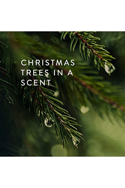 Thymes Frasier Fir Candle – Silver Pine Needle Design (Statement, 6.5 oz)