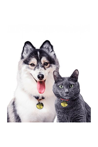 Golden cat The Pet Tap Smart Pet NFC ID Locator Tags