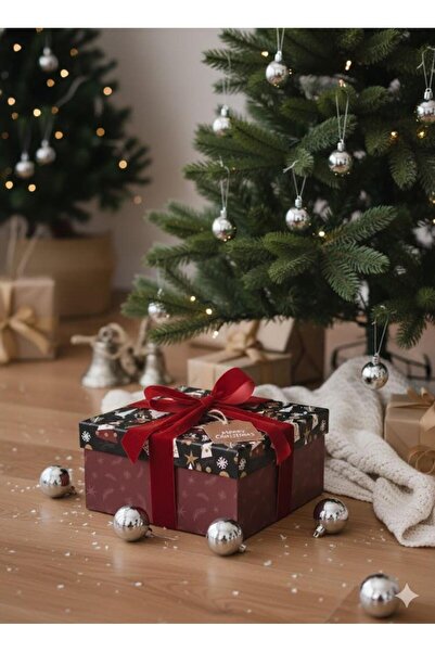 DODOMAR هدية عيد الميلاد صندوق مربع فابل 24×24 سم رقم:6