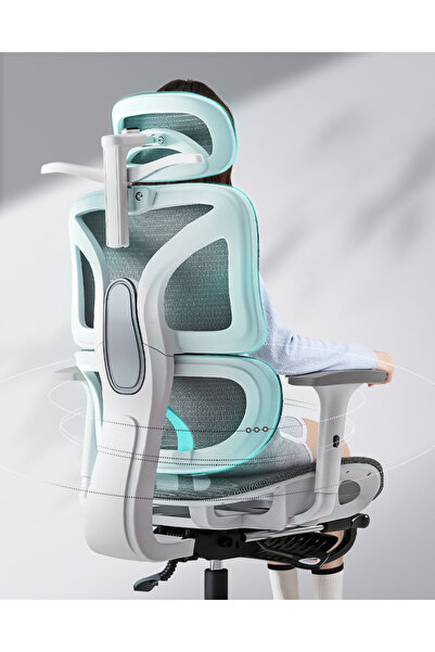 mumtaz sa Grey Ergonomic Computer Chair, Office Desk Chair with Adjustable Height & Hollow Back Support