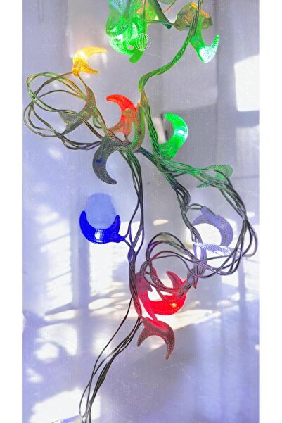 OEM Christmas LED light installation crescent moon, 5 m, 50 bulbs – Multicolor RGB