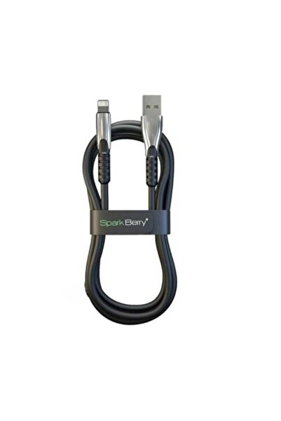 ghlastore SparkBerry iPhone Charging Cable (Certified)