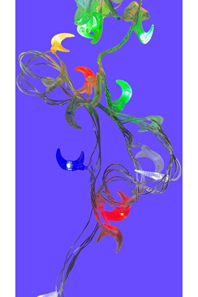 OEM Christmas LED light installation crescent moon, 5 m, 50 bulbs – Multicolor RGB