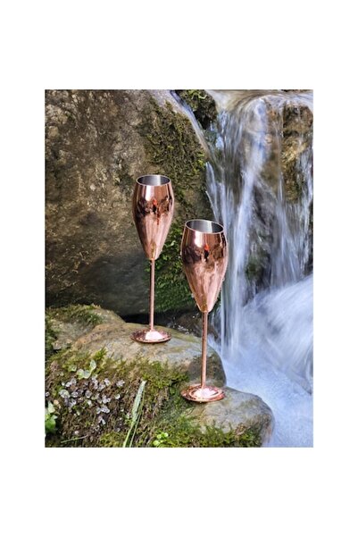 Nabi Market Set of 2 Stainless Steel Tulip Champagne Glasses - Rose, 250 ml