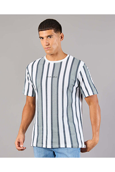 REDTAG Men White Striped Basic T-Shirt