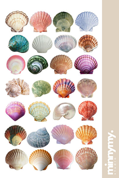 Minnymy Seashell Collection Retro Sticker, Çıkartma, Ajanda, Günlük, Planlayı...