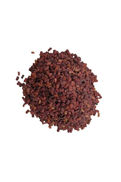 Nature Spirit روح الطبيعة -حلبة الخيل