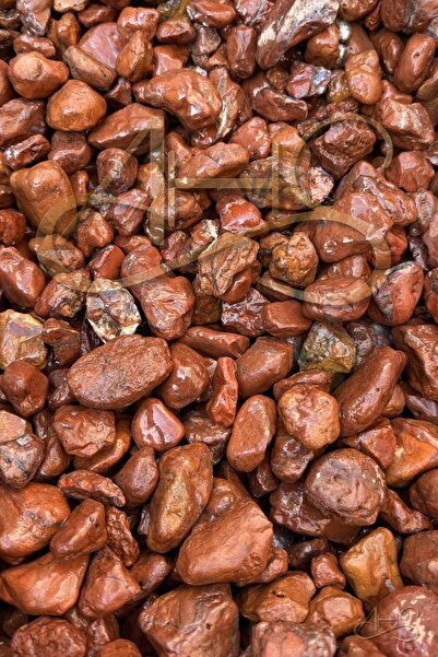 AHS Kırmızı Bordo Dolomit Çakıl Taşı 4-6 Cm 1 Kg Dekoratif Bahçe Peyzaj Saksı...