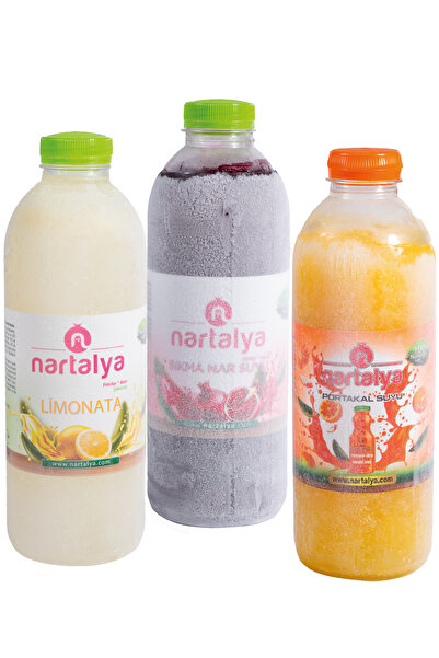 nartalya Nar Portakal Limonata Dondurulmuş Ürün 1 er Adet 950 ml.