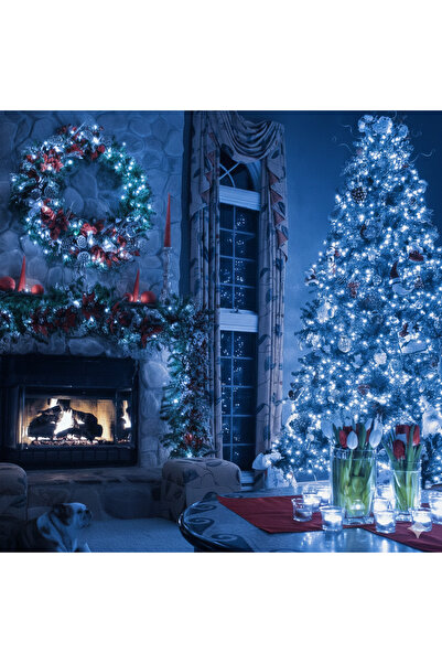 OBSIDION LED String Lights 100m, 500 Diamond-type LEDs, IP44, 8 Lighting Modes, Blue