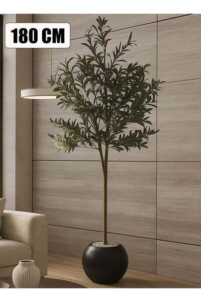 BYT ALRWASM FOR TRADE Olive Tree 180 cm with Large Black Pot, Attractive Design