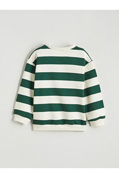 LC Waikiki Lcw Baby Striped Baby Boy Thick Sweatshirt