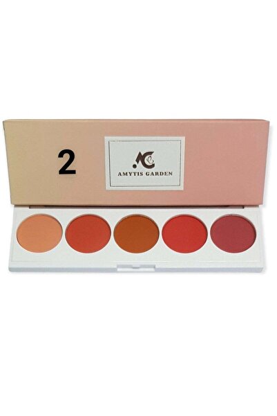 AMYTIS GARDEN أحمر خدود 5 ألوان 02
