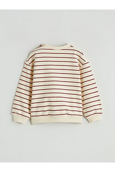 LC Waikiki Lcw Baby Crew Neck Embroidered Baby Girl Sweatshirt