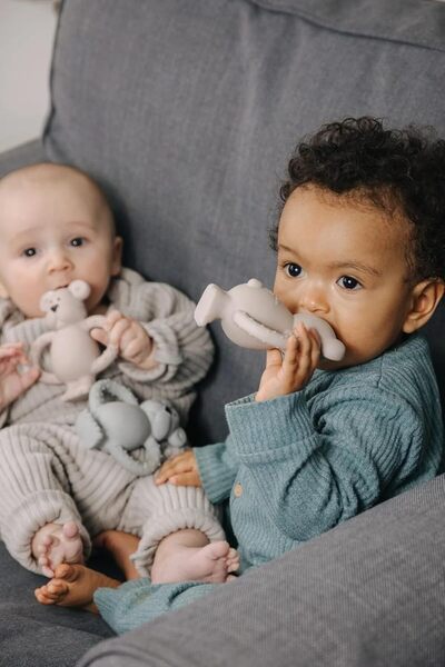 PIPPETA عضاضة أسنان الأطفال من ألبرت بير مصنوعة من المطاط الطبيعي بنسبة 100%،...