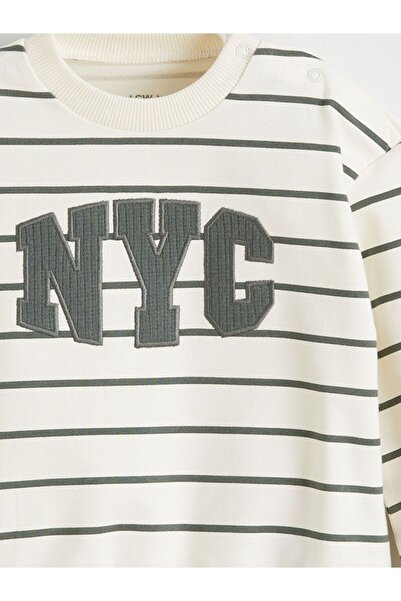 LC Waikiki Lcw Baby Crew Neck Embroidered Baby Boy Sweatshirt