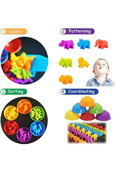 Generic Counting Matching Game - Color Sorting Set with Bowls | Early Math Learning Toy for Preschool Toddle