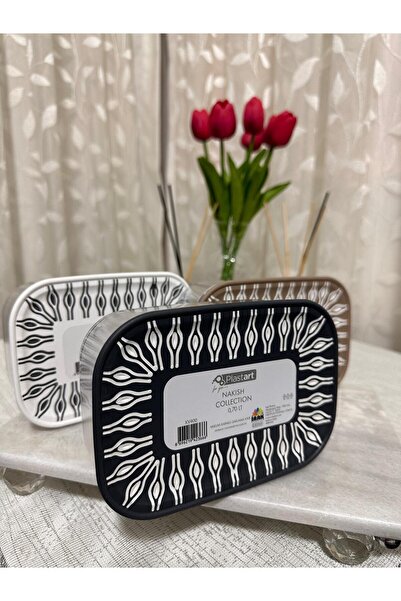 Plastard 3-Piece Multi-Purpose Vacuum Lid Patterned Fresh Box Storage Container