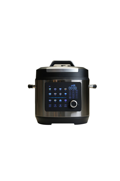 naqi Pure Digital R-1 Pot