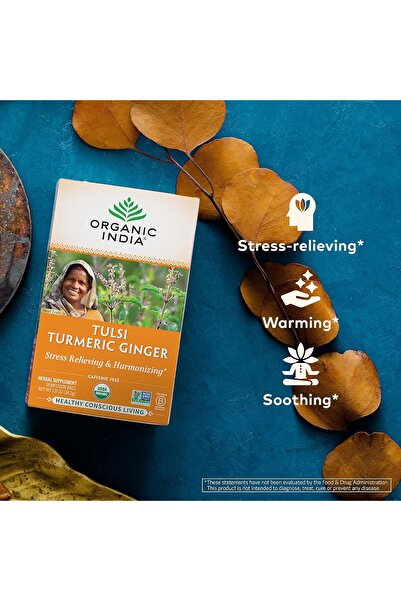 Organic India Tulsi Ginger & Turmeric Tea Bags, 18 Count