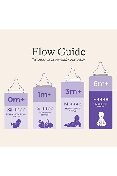 Lansinoh NaturalWave Fast Flow Bottle Nipples, Pack of 2, Transparent