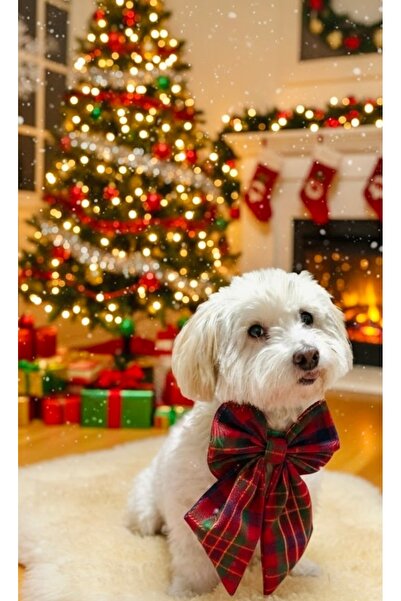 Lokums Köpek Tasması İçin Seyyar Fiyonk – Papyon - Kolay Tak Çıkar Şık Aksesuar