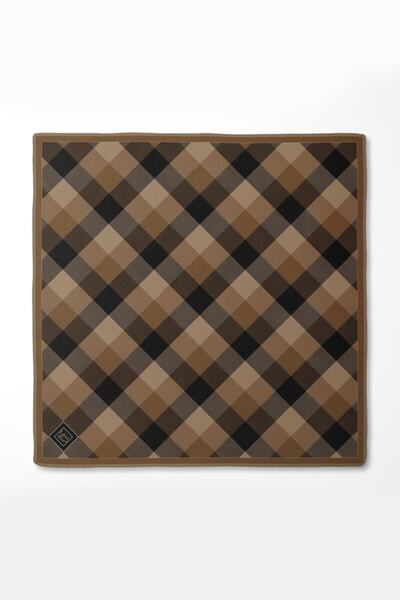 Levidor Mink Dotted Checkered Print Twill Silk Scarf-0934