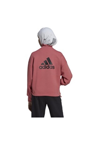 adidas FI BOS QZ Hoodie