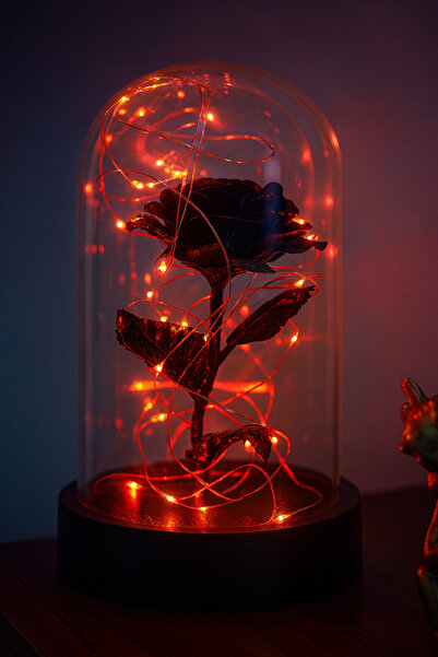 etxShop 14 Şubat Sevgililer Günü Hediyelik Doğum Günü Fanus Led Işıklı Siyah ...