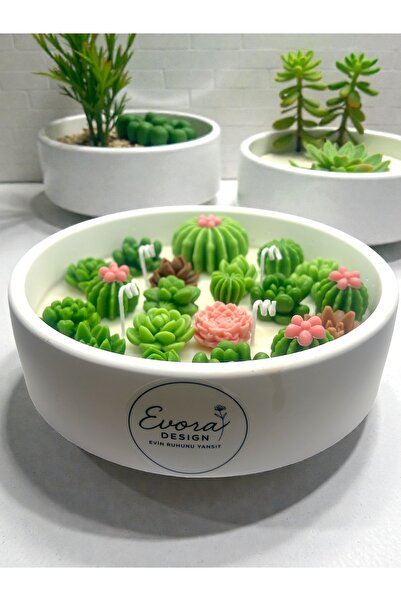 EVORADESIGNE Evora Design – Succulent Garden Kaktüs & Sukulent Formlu Dekorat...
