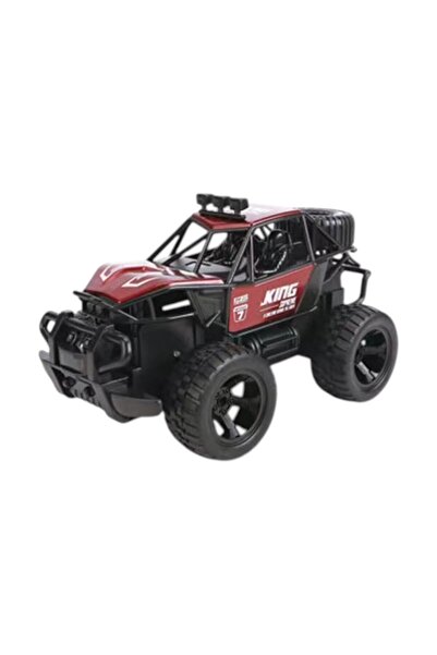 Toysea 1:16 Off-Road RC Truck, 4 Function Remote Control Car with USB Charger