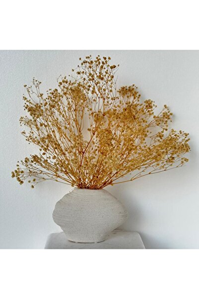 MirageBotanics Dried Gypsophila Arrangement in Modern Textured Ceramic Vase – Minimalist Home & Office Decor