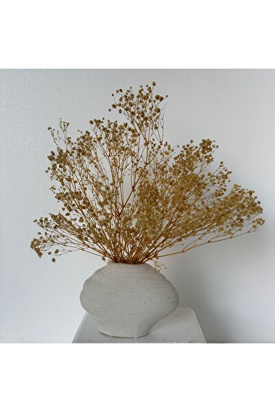 MirageBotanics Dried Gypsophila Arrangement in Modern Textured Ceramic Vase – Minimalist Home & Office Decor