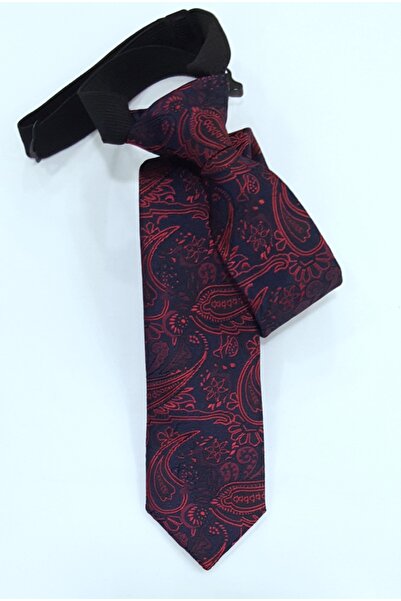 Louis Kids Premium Collection Shawl Pattern Boys' Tie