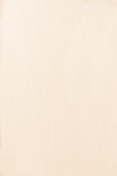 Kumaş Deposu Meteor Cream Color Knitted Fabric