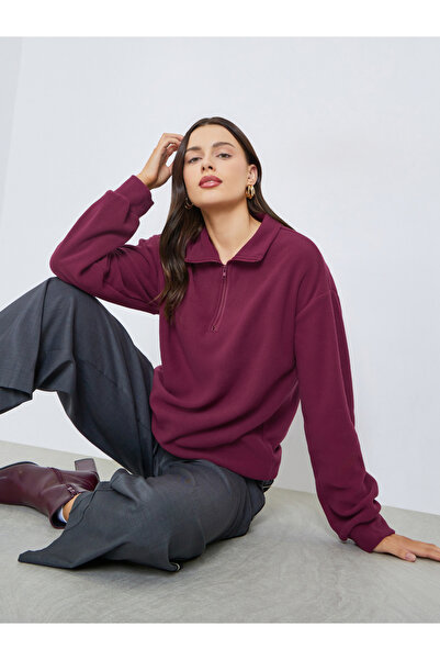 Styli Regular Fit Sweatshirt with Quarter Zip