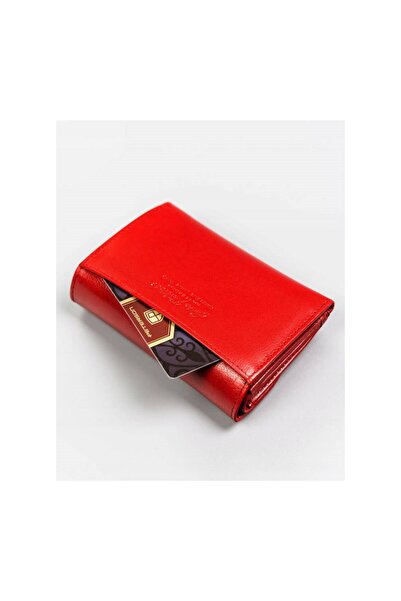 Peterson DHPTN116BO61847