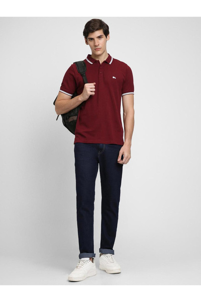 Dennis Lingo By Styli Men Maroon Plain Polo