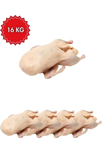 Araz et Ayvat Ördek Eti 16 kg – Taze ve Besleyici Kırmızımsı Beyaz Et