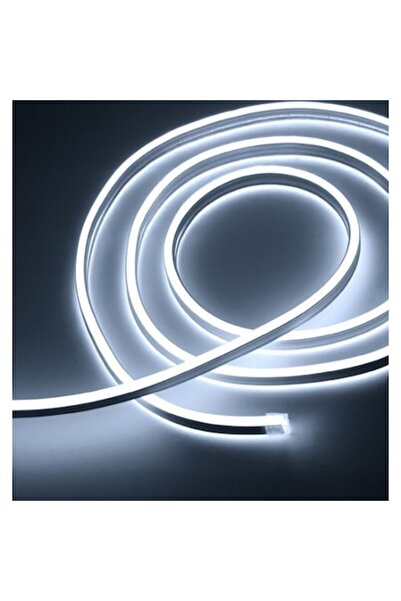 AB HOMES Frânghie LED Neon, 120 LED-uri/m, 5 m, Alb Rece, Continuu, Interior și Exterior